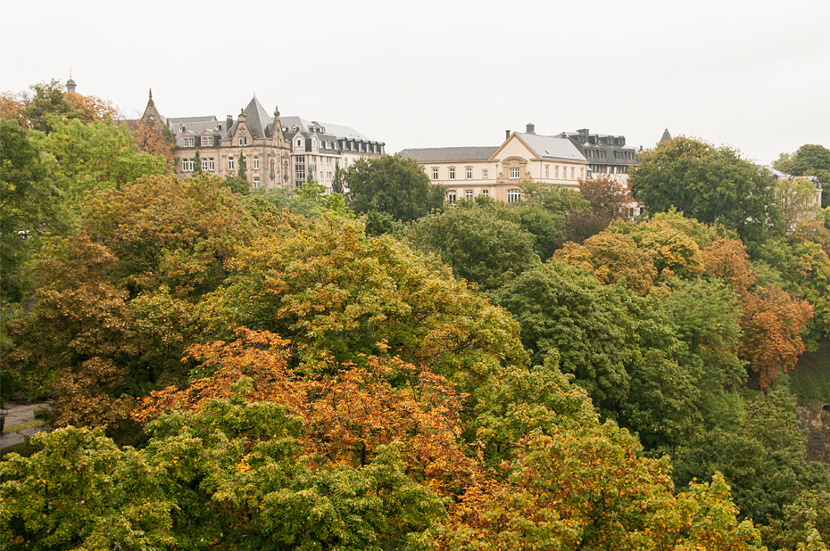 Luxemburg Wald Luxemburg Wald