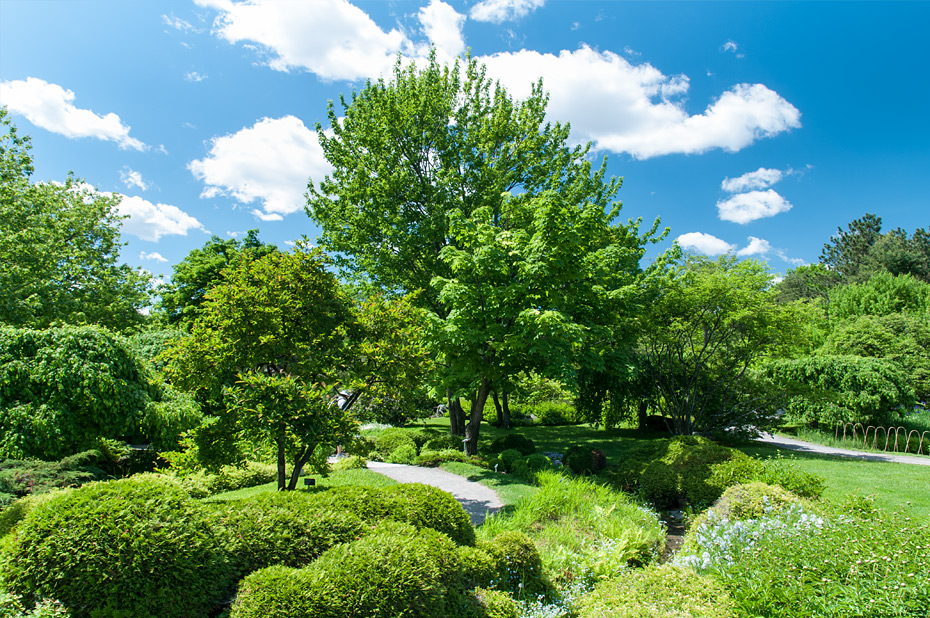 USA---Kanada---Montreal-1-8