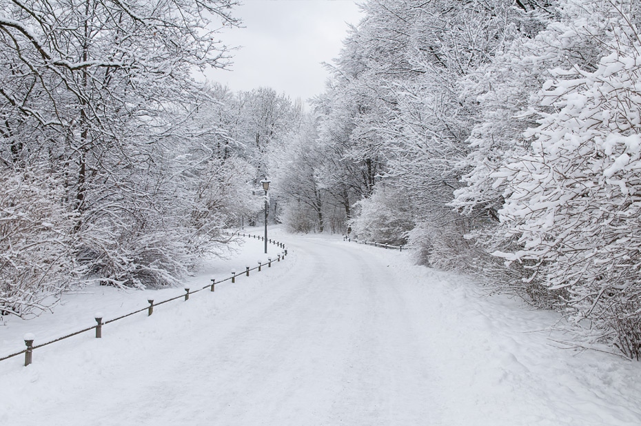 Wozu Lässt Sich Frisch Gefallener Schnee Verwenden www.bilder-von-irgendwo.de