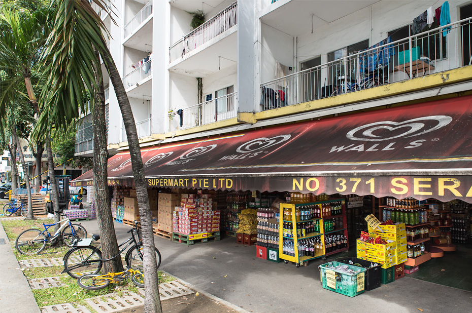 singapore_2016__0005s_0019_Ebene 110