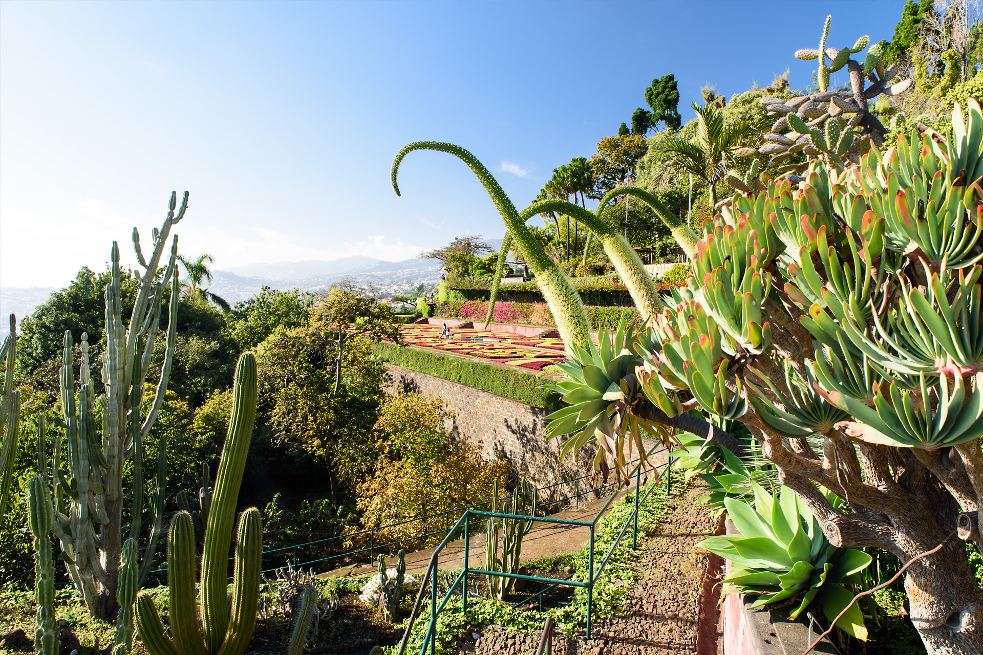 Madeira - Jardim Botanico Funchal