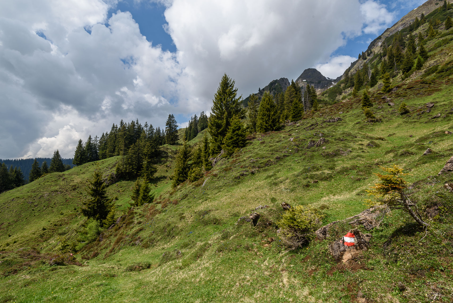 Saalfelden / Leogang