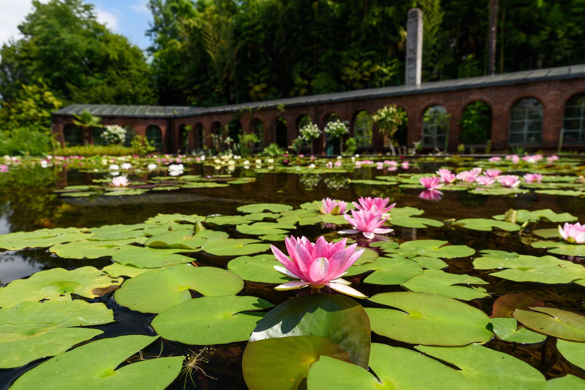 Garten Lago Maggiore