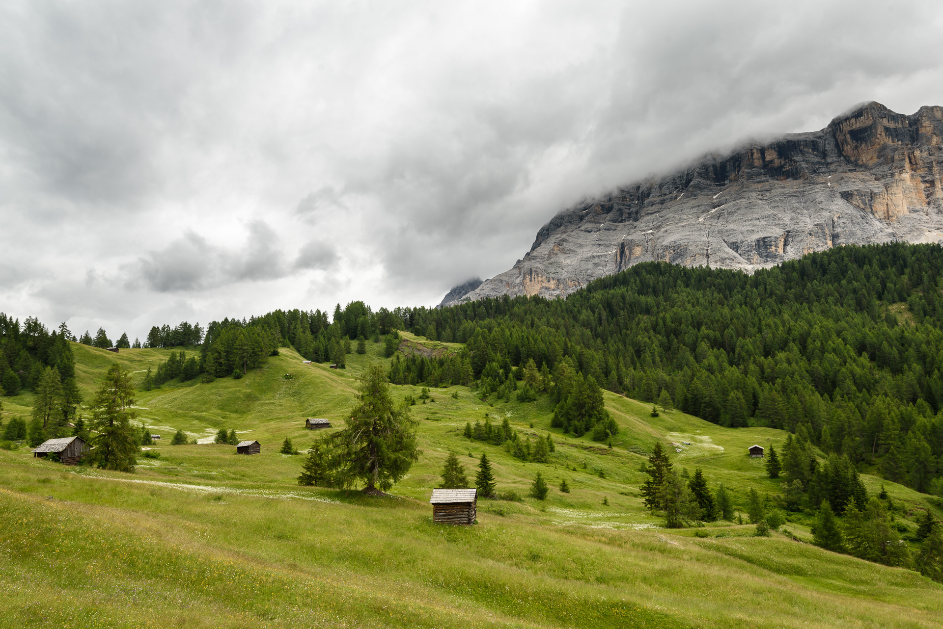 Armentara Wiesen Alta Badia