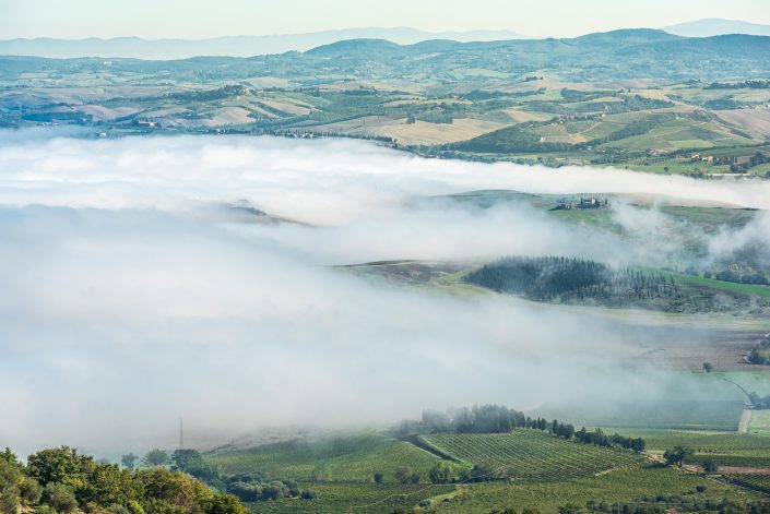 Nebel im Val d'Orcia